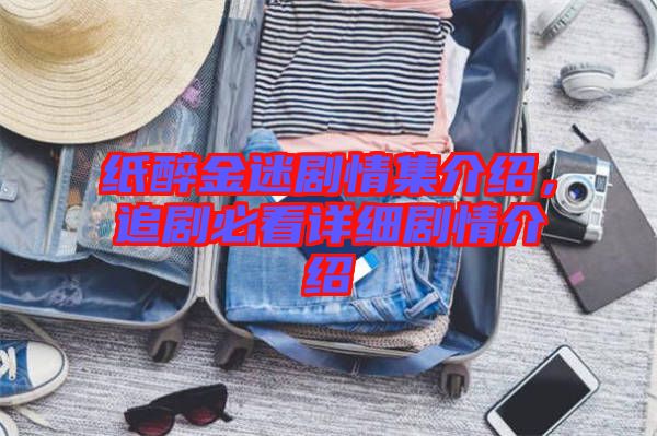 紙醉金迷劇情集介紹，追劇必看詳細劇情介紹