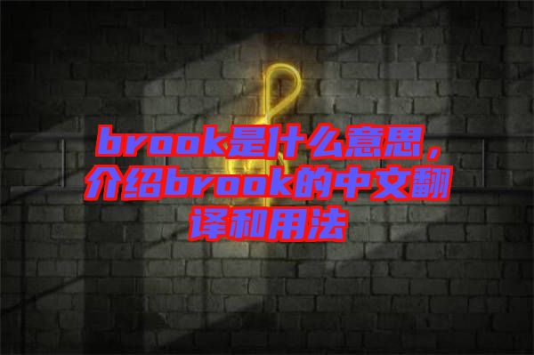 brook是什么意思，介紹brook的中文翻譯和用法