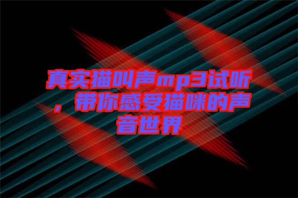 真實(shí)貓叫聲mp3試聽，帶你感受貓咪的聲音世界