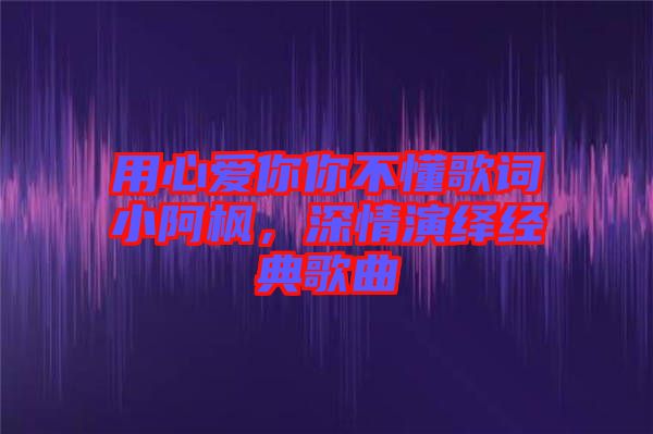 用心愛你你不懂歌詞小阿楓，深情演繹經(jīng)典歌曲