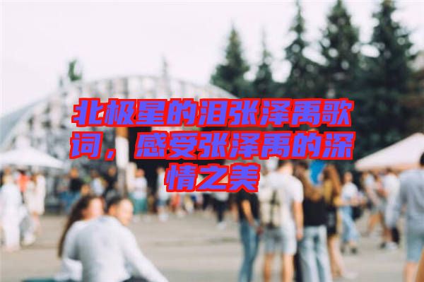 北極星的淚張澤禹歌詞，感受張澤禹的深情之美