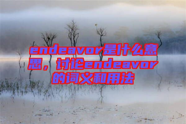 endeavor是什么意思，討論endeavor的詞義和用法