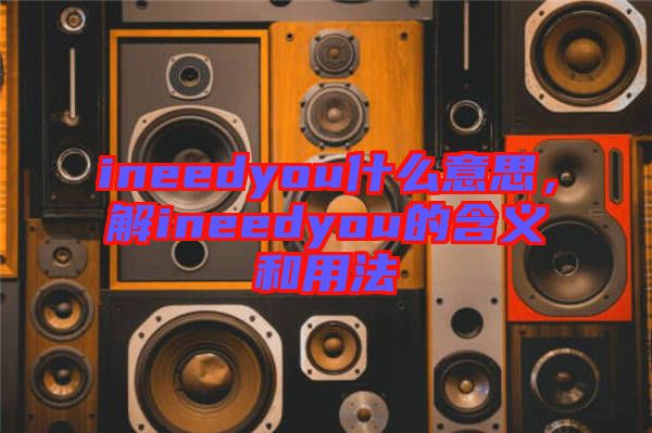 ineedyou什么意思，解ineedyou的含義和用法