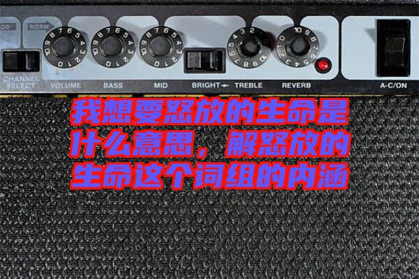 我想要怒放的生命是什么意思，解怒放的生命這個詞組的內(nèi)涵