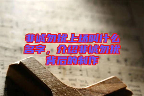 非誠勿擾上場叫什么名字，介紹非誠勿擾背后的制作