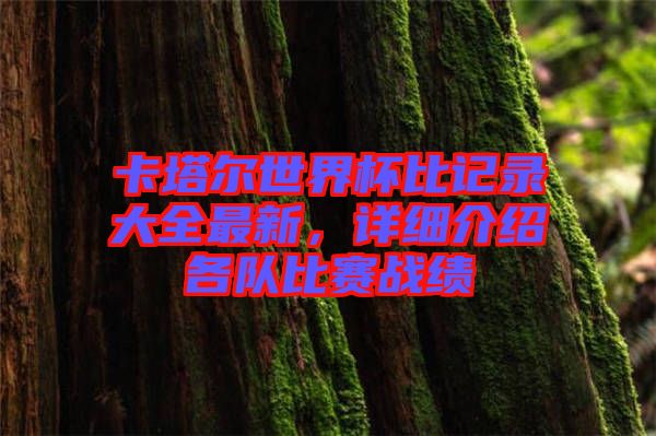 卡塔爾世界杯比記錄大全最新，詳細(xì)介紹各隊(duì)比賽戰(zhàn)績(jī)