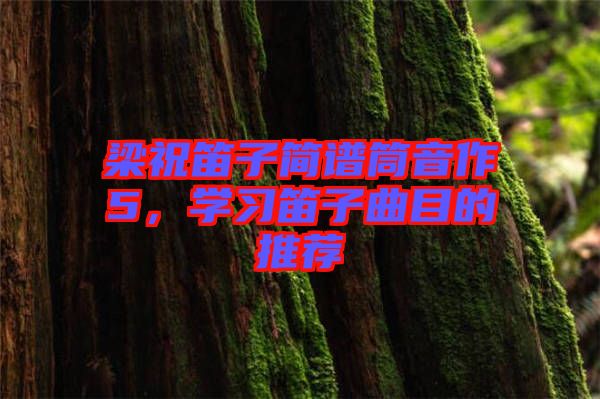 梁祝笛子簡(jiǎn)譜筒音作5，學(xué)習(xí)笛子曲目的推薦