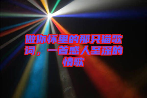 做你懷里的那只貓歌詞，一首感人至深的情歌