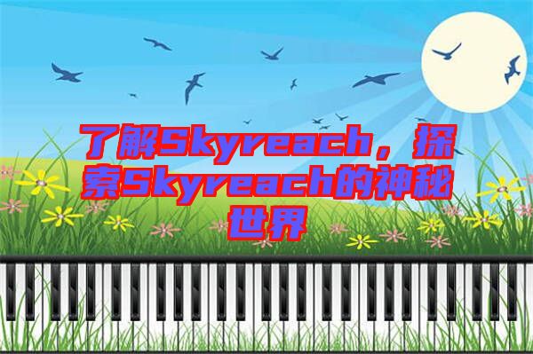 了解Skyreach，探索Skyreach的神秘世界