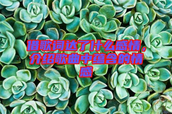 借歌詞達(dá)了什么感情，介紹歌曲中蘊(yùn)含的情感