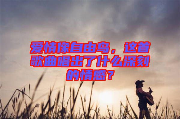 愛情像自由鳥，這首歌曲唱出了什么深刻的情感？