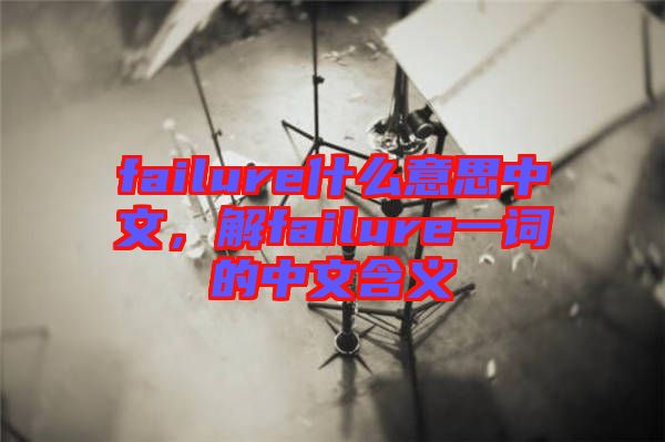 failure什么意思中文，解failure一詞的中文含義