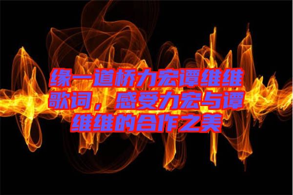 緣一道橋力宏譚維維歌詞，感受力宏與譚維維的合作之美