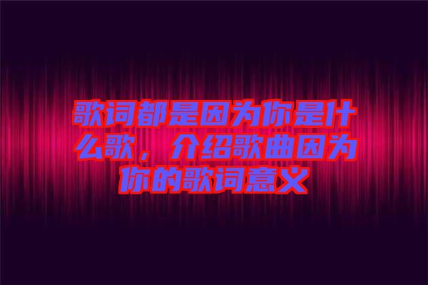 歌詞都是因為你是什么歌，介紹歌曲因為你的歌詞意義