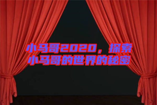 小馬哥2020，探索小馬哥的世界的秘密