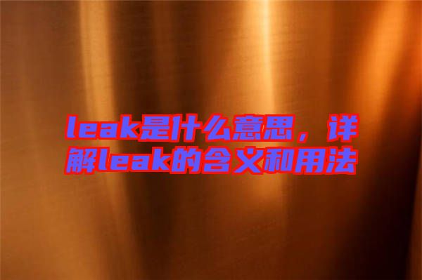 leak是什么意思，詳解leak的含義和用法