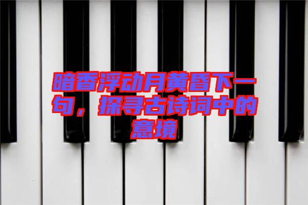 暗香浮動月黃昏下一句，探尋古詩詞中的意境