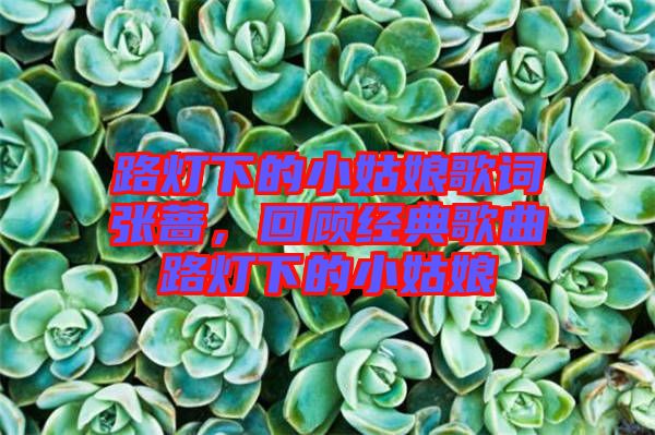 路燈下的小姑娘歌詞張薔，回顧經(jīng)典歌曲路燈下的小姑娘