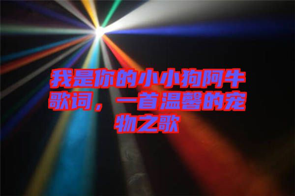 我是你的小小狗阿牛歌詞，一首溫馨的寵物之歌