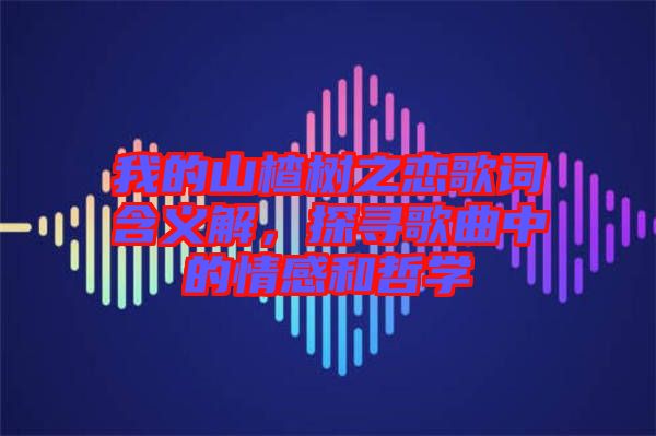 我的山楂樹之戀歌詞含義解，探尋歌曲中的情感和哲學(xué)