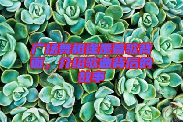 廣場舞相逢是首歌背面，介紹歌曲背后的故事