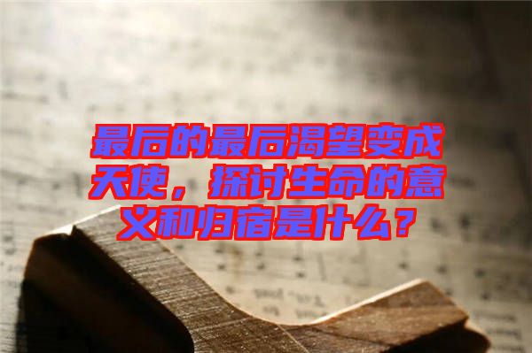 最后的最后渴望變成天使，探討生命的意義和歸宿是什么？