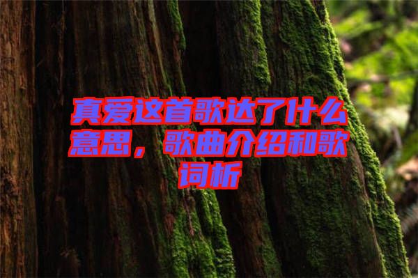 真愛這首歌達(dá)了什么意思，歌曲介紹和歌詞析