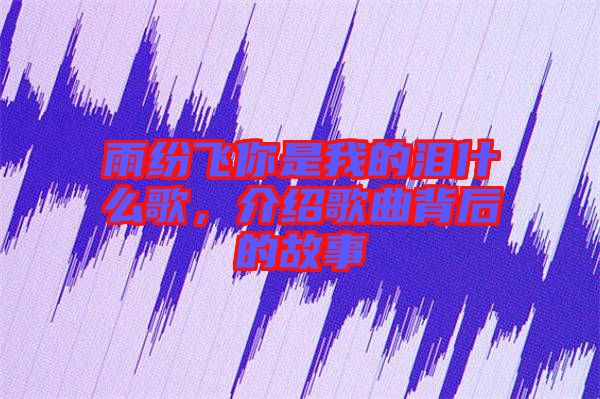 雨紛飛你是我的淚什么歌，介紹歌曲背后的故事