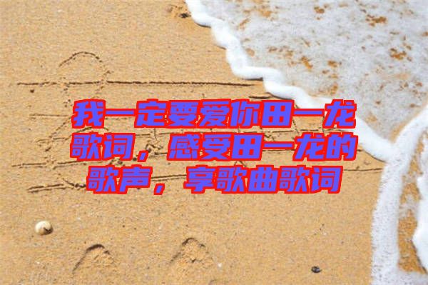 我一定要愛你田一龍歌詞，感受田一龍的歌聲，享歌曲歌詞