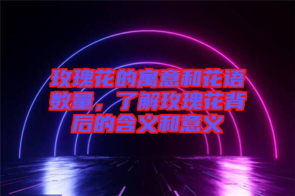 玫瑰花的寓意和花語數(shù)量，了解玫瑰花背后的含義和意義