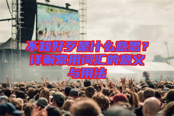 不知好歹是什么意思？詳解常用詞匯的意義與用法