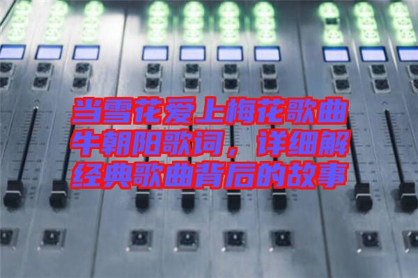 當(dāng)雪花愛上梅花歌曲牛朝陽歌詞，詳細(xì)解經(jīng)典歌曲背后的故事