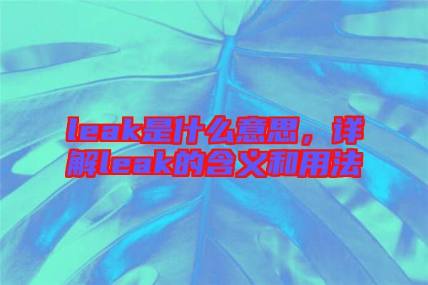 leak是什么意思，詳解leak的含義和用法