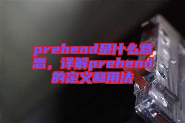 prehend是什么意思，詳解prehend的定義和用法