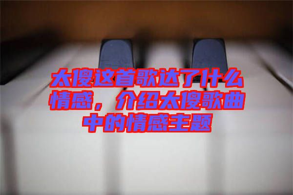 太傻這首歌達(dá)了什么情感，介紹太傻歌曲中的情感主題