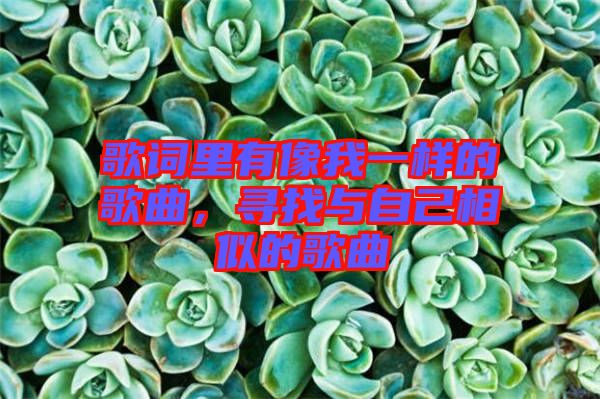 歌詞里有像我一樣的歌曲，尋找與自己相似的歌曲