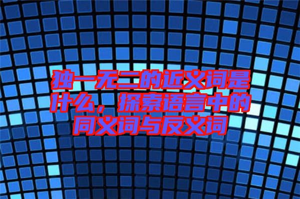 獨(dú)一無(wú)二的近義詞是什么，探索語(yǔ)言中的同義詞與反義詞