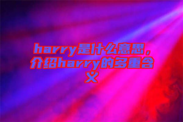 harry是什么意思，介紹harry的多重含義