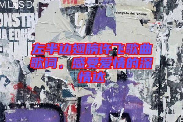 左半邊翅膀許飛歌曲歌詞，感受愛情的深情達(dá)