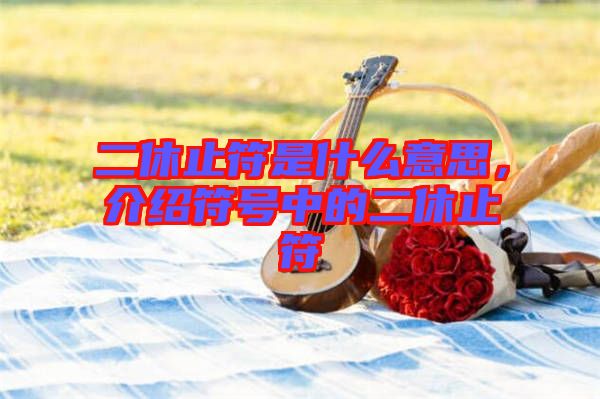 二休止符是什么意思，介紹符號(hào)中的二休止符