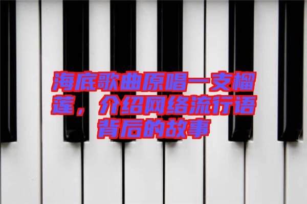 海底歌曲原唱一支榴蓮，介紹網(wǎng)絡(luò)流行語背后的故事