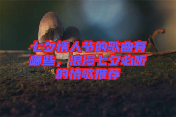 七夕情人節(jié)的歌曲有哪些，浪漫七夕必聽的情歌推薦