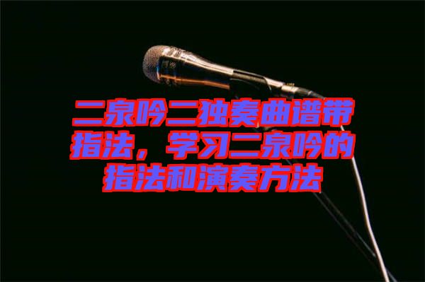 二泉吟二獨奏曲譜帶指法，學習二泉吟的指法和演奏方法