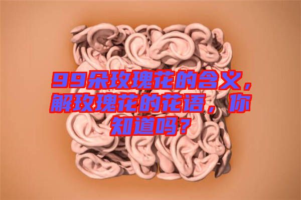 99朵玫瑰花的含義，解玫瑰花的花語，你知道嗎？