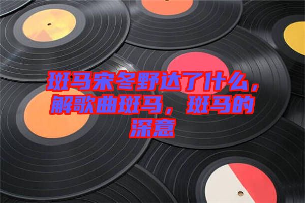 斑馬宋冬野達(dá)了什么，解歌曲斑馬，斑馬的深意