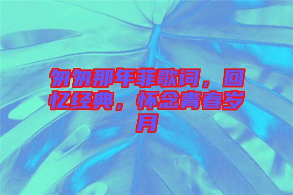 匆匆那年菲歌詞，回憶經(jīng)典，懷念青春歲月