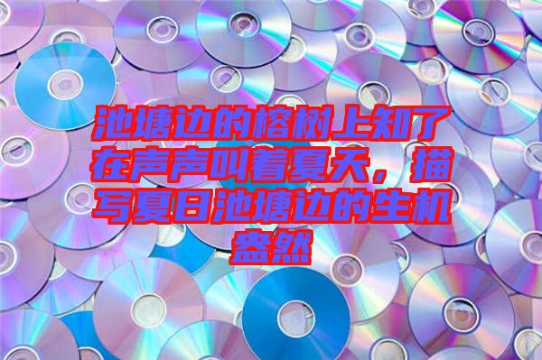 池塘邊的榕樹上知了在聲聲叫著夏天，描寫夏日池塘邊的生機(jī)盎然