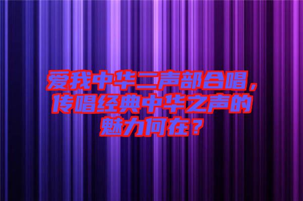 愛我中華二聲部合唱，傳唱經(jīng)典中華之聲的魅力何在？