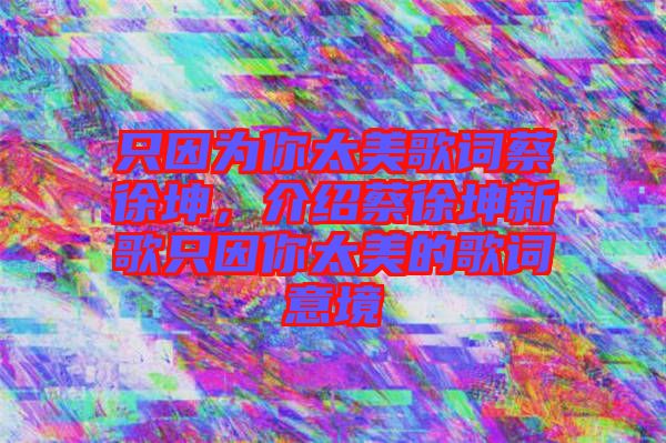 只因?yàn)槟闾栏柙~蔡徐坤，介紹蔡徐坤新歌只因你太美的歌詞意境