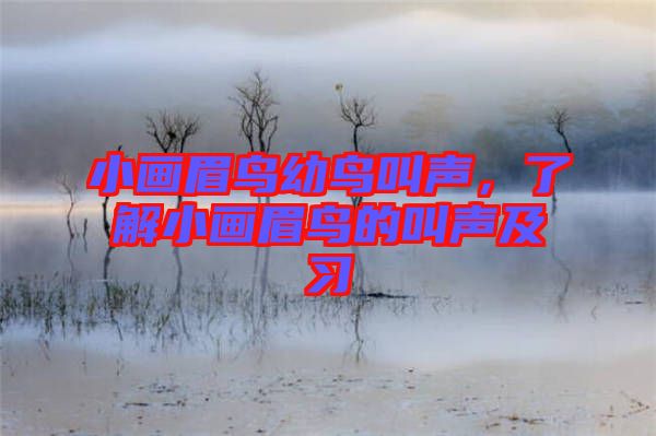 小畫(huà)眉鳥(niǎo)幼鳥(niǎo)叫聲，了解小畫(huà)眉鳥(niǎo)的叫聲及習(xí)